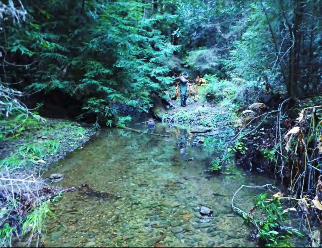 Chamberlain Creek from report.