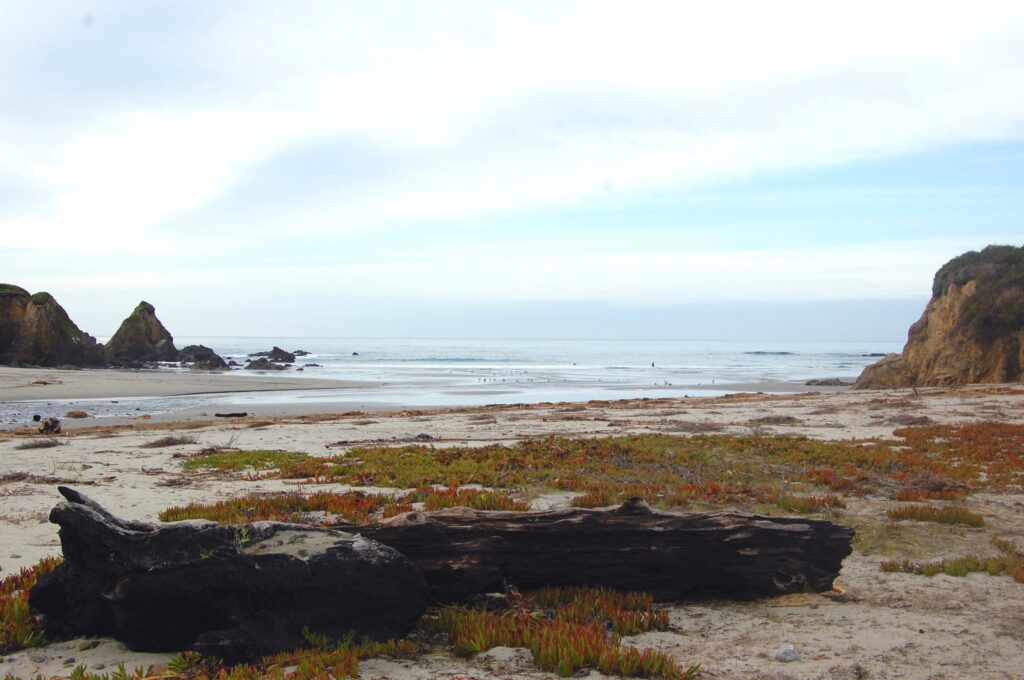 Hare Creek Beach - Public access beach owned and conserved by the Mendocino Land Trust