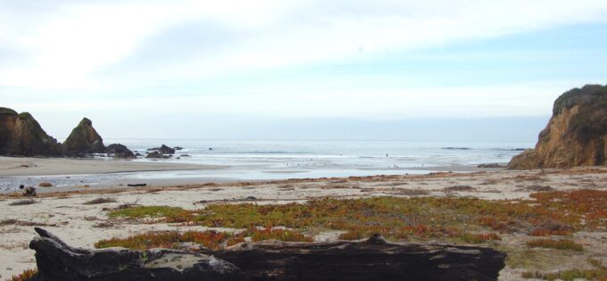 Hare Creek Beach - Public access beach owned and conserved by the Mendocino Land Trust