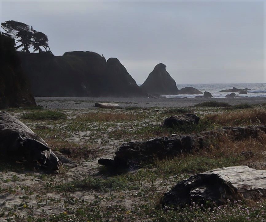 From the share drive - Hare Creek Beach