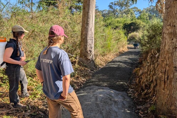 Belinda Point Trail Upgrades