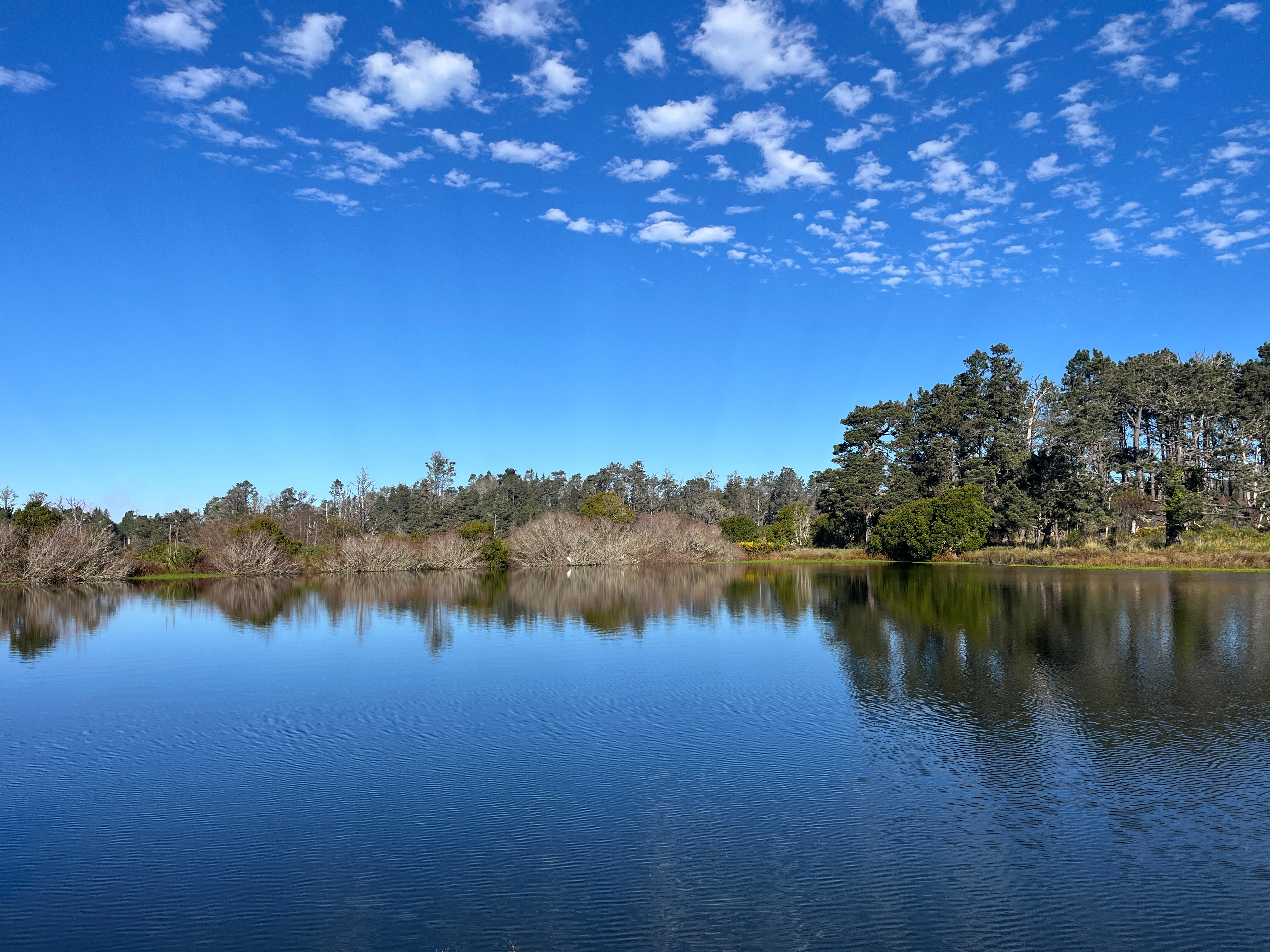 Caspar Pond Trail