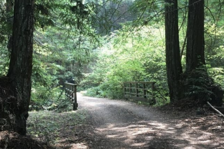 Conservation Easement: Ayres