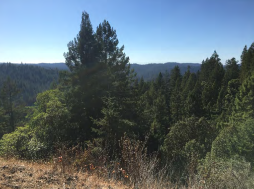 Conservation Easement: Rosen